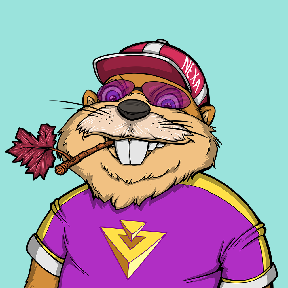 Front for Beef Beaver 036