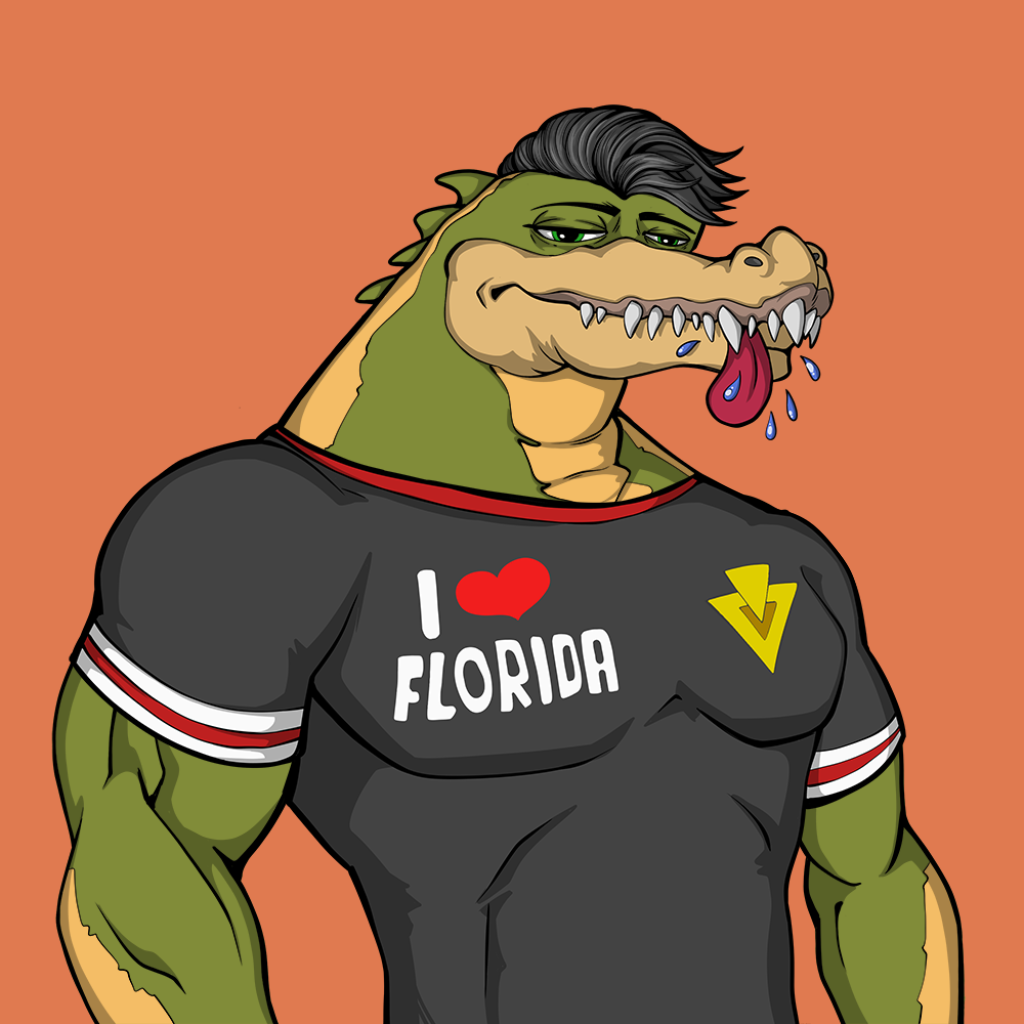 Front for Miami Gator 484
