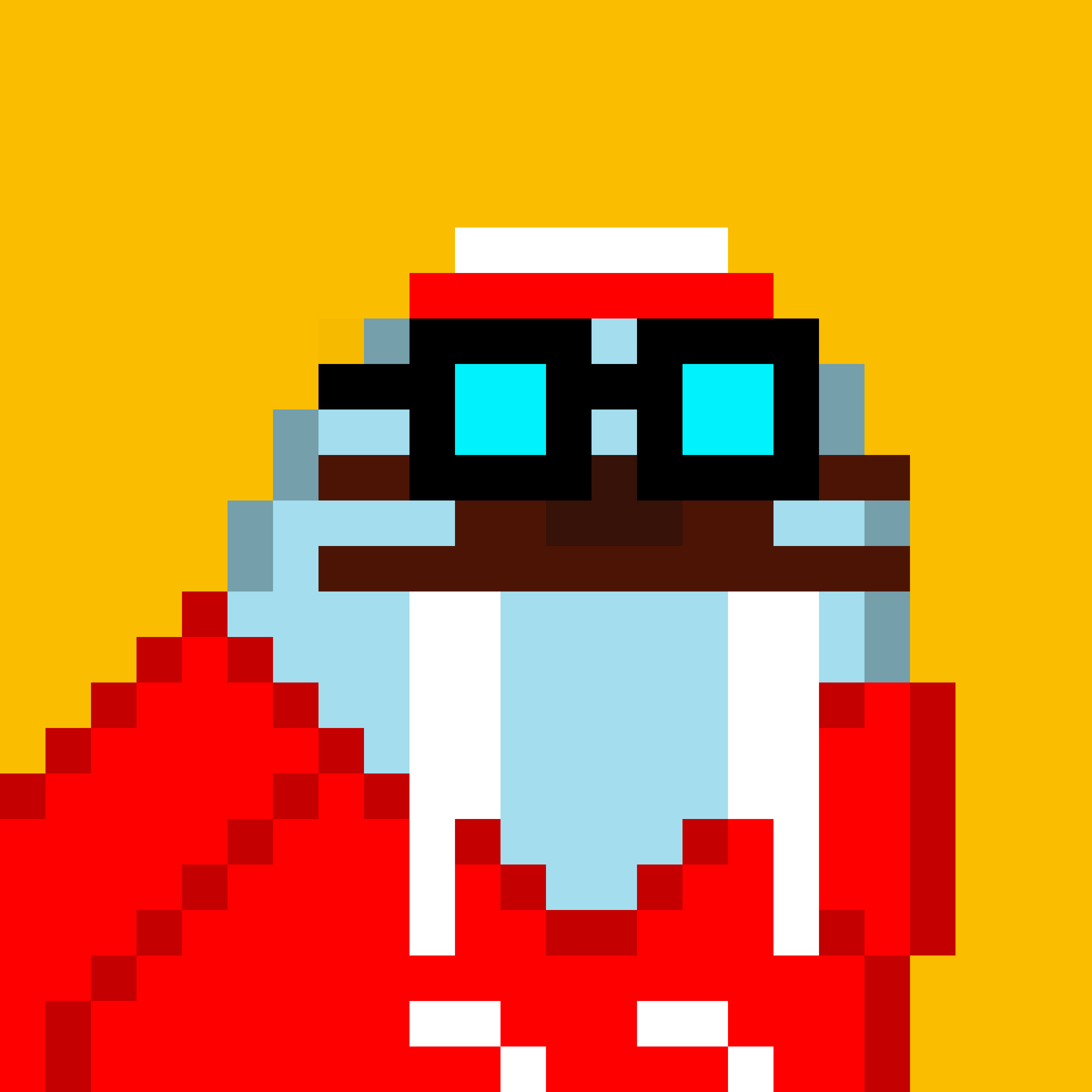 Front for Frosty Walrus #079