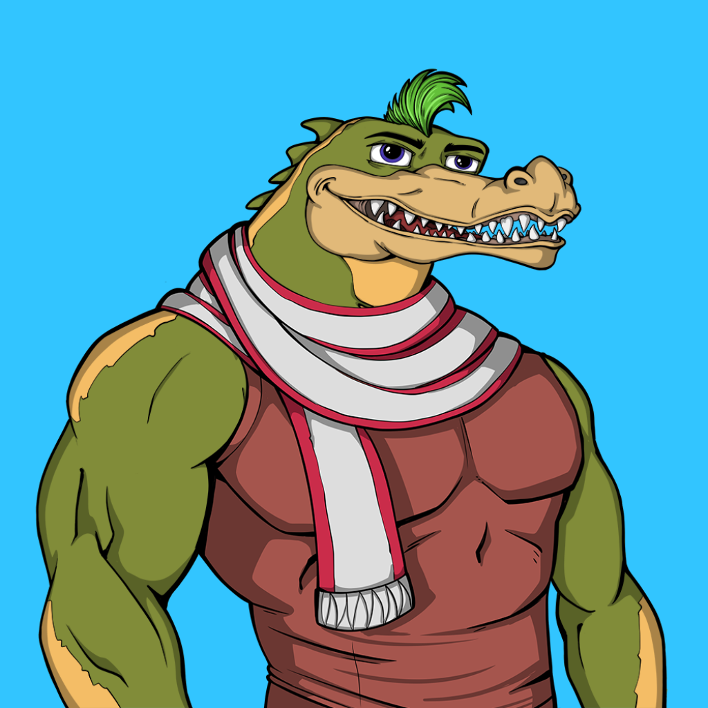 Front for Miami Gator 497