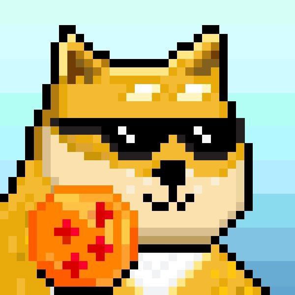 Front for DOGE