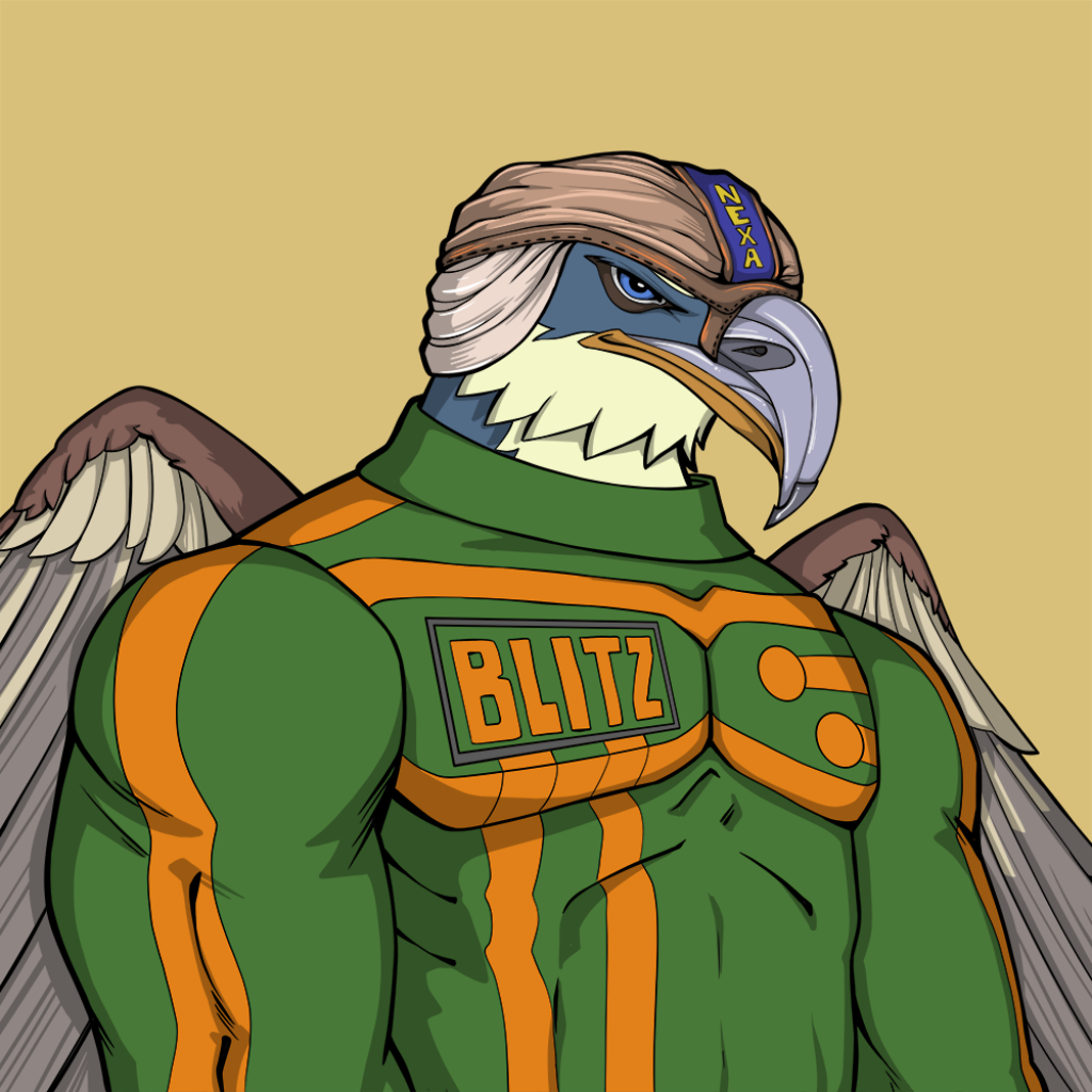 Front for Falcon061