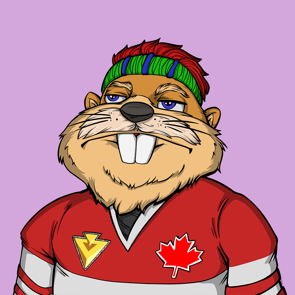 Front for Beef Beaver 351