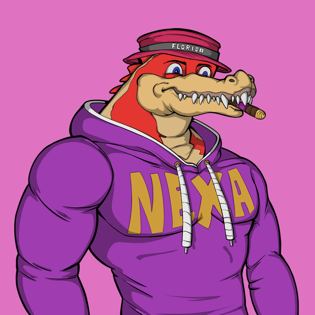Front for Miami Gator 427
