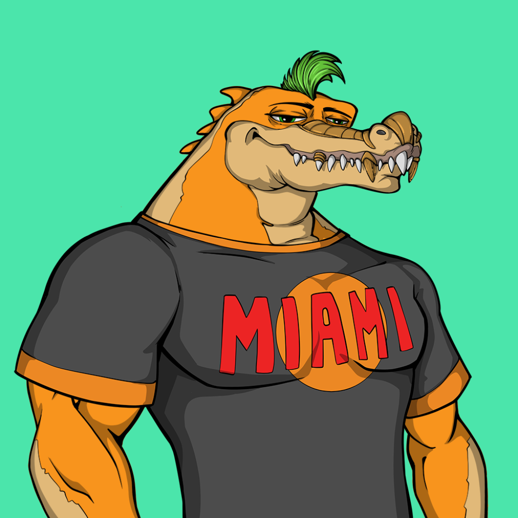 Front for Miami Gator 396