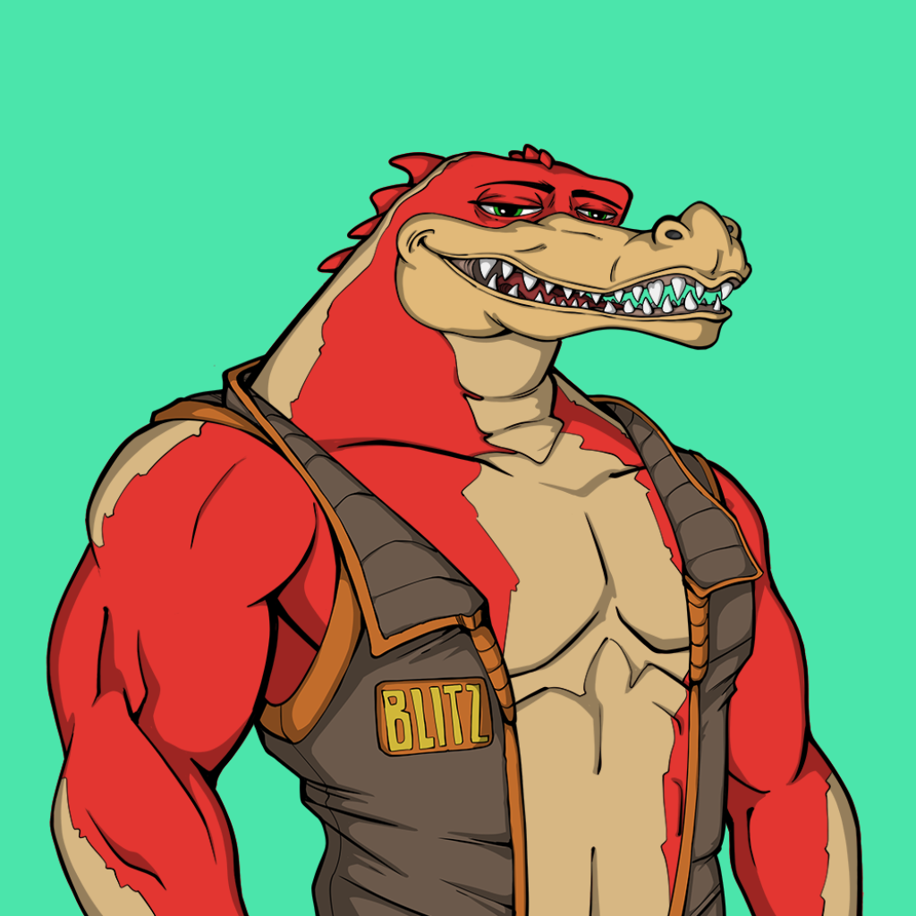 Front for Miami Gator 271
