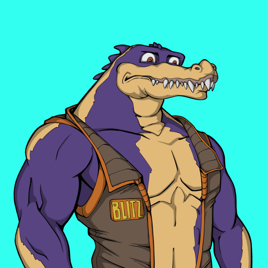 Front for Miami Gator 317