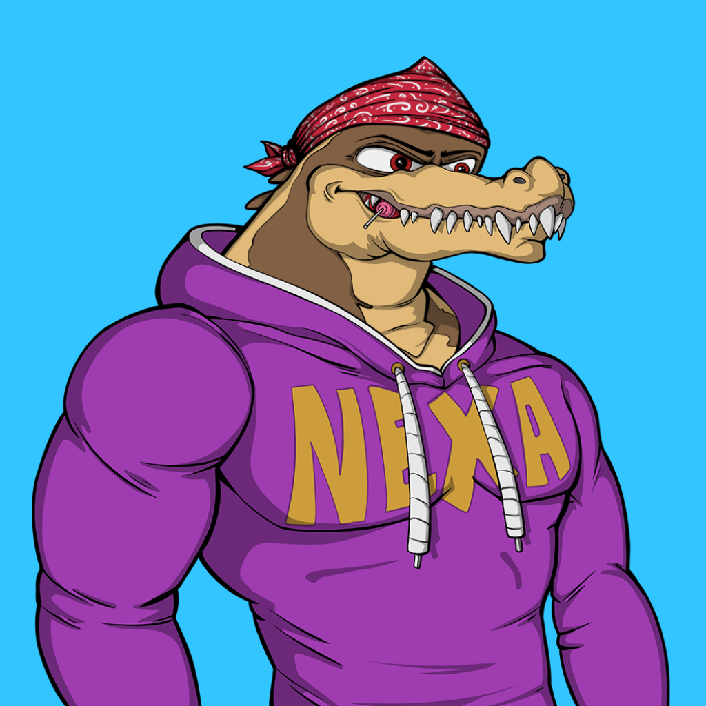 Front for Miami Gator 417