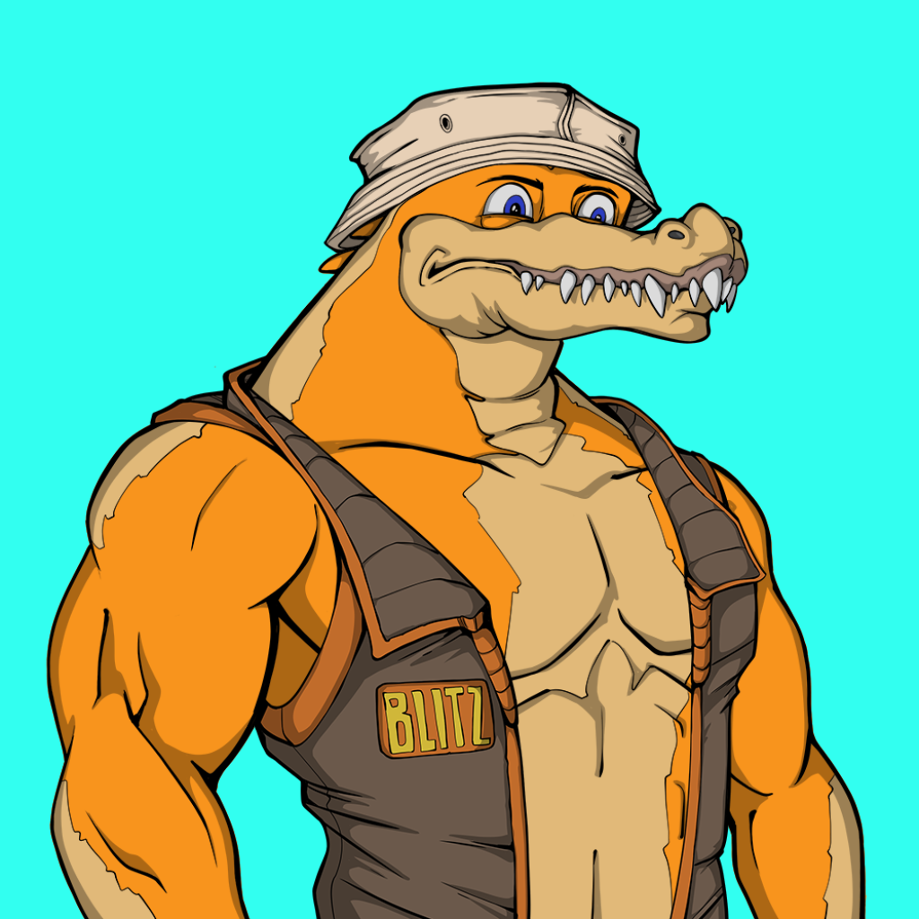 Front for Miami Gator 167