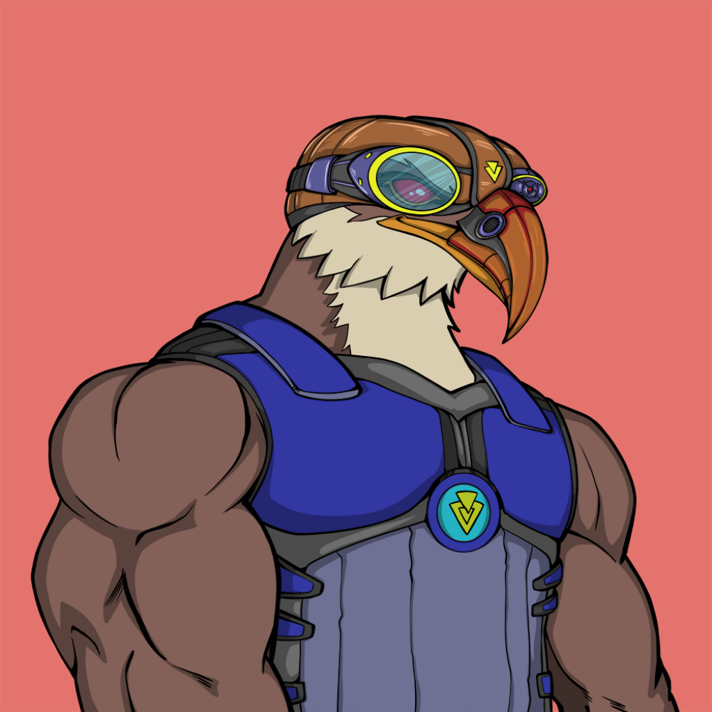 Front for Falcon034