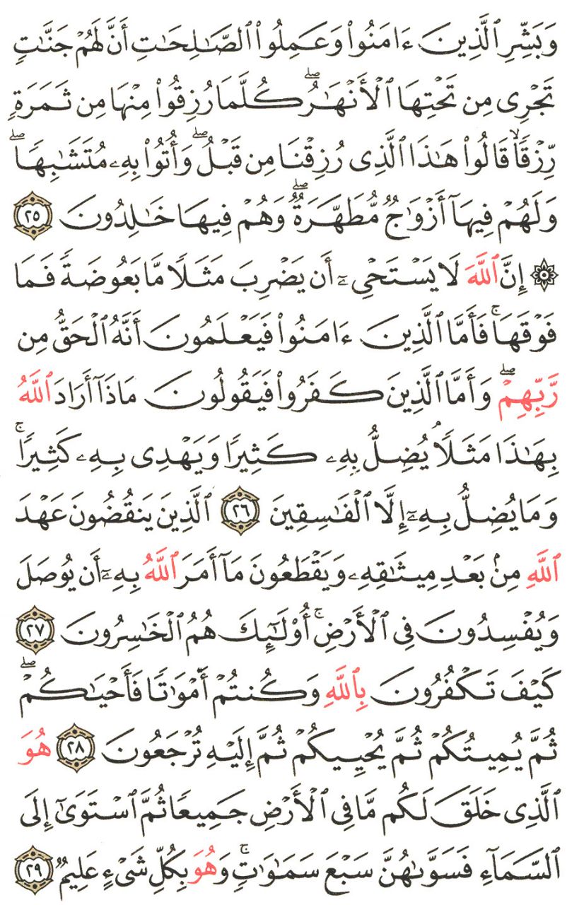Front for سورة البقرة #3