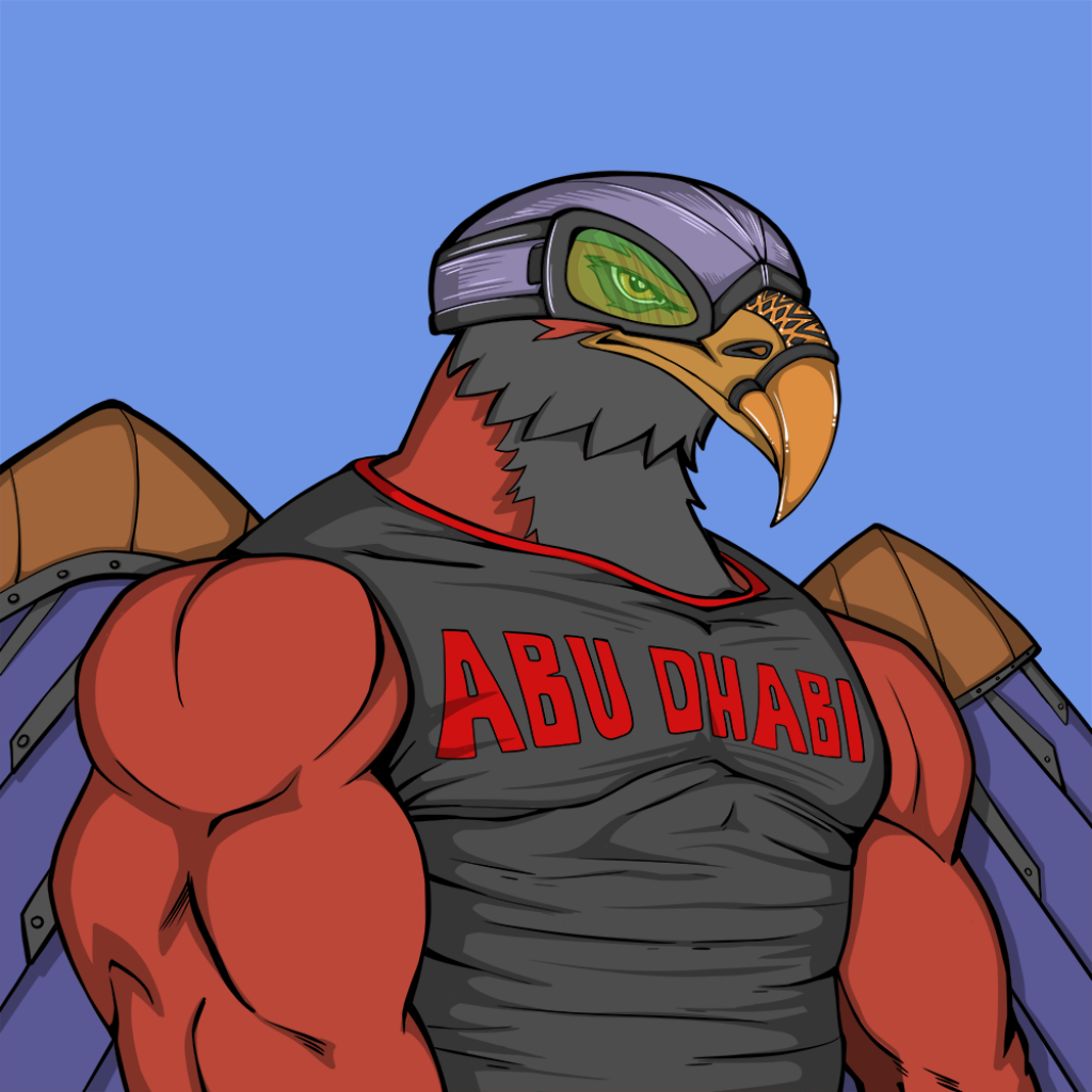 Front for Falcon030