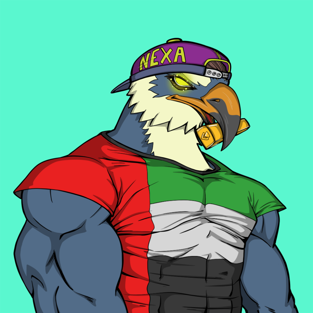 Front for Falcon499
