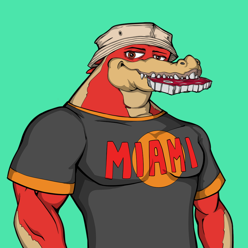 Front for Miami Gator 461