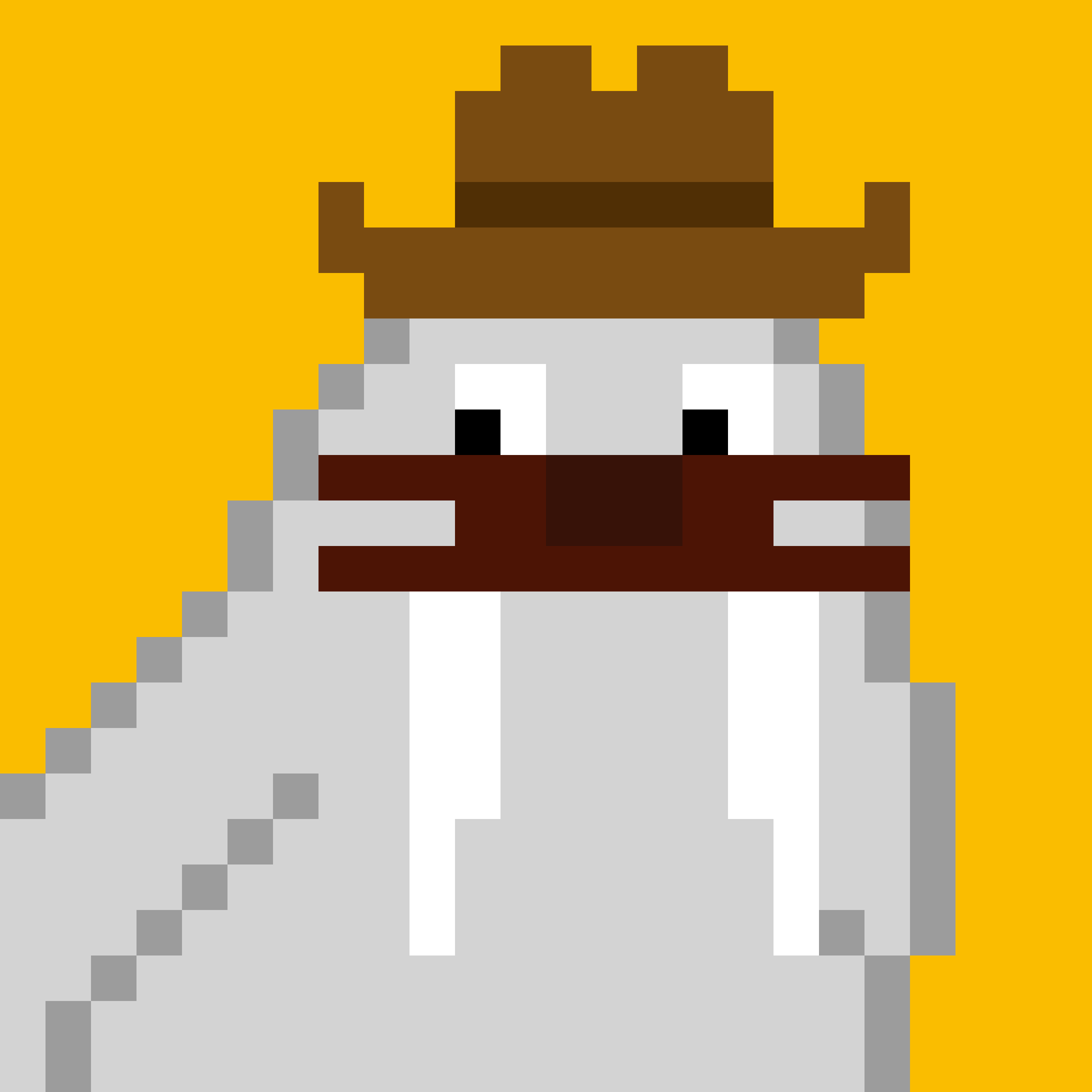 Front for Frosty Walrus #060