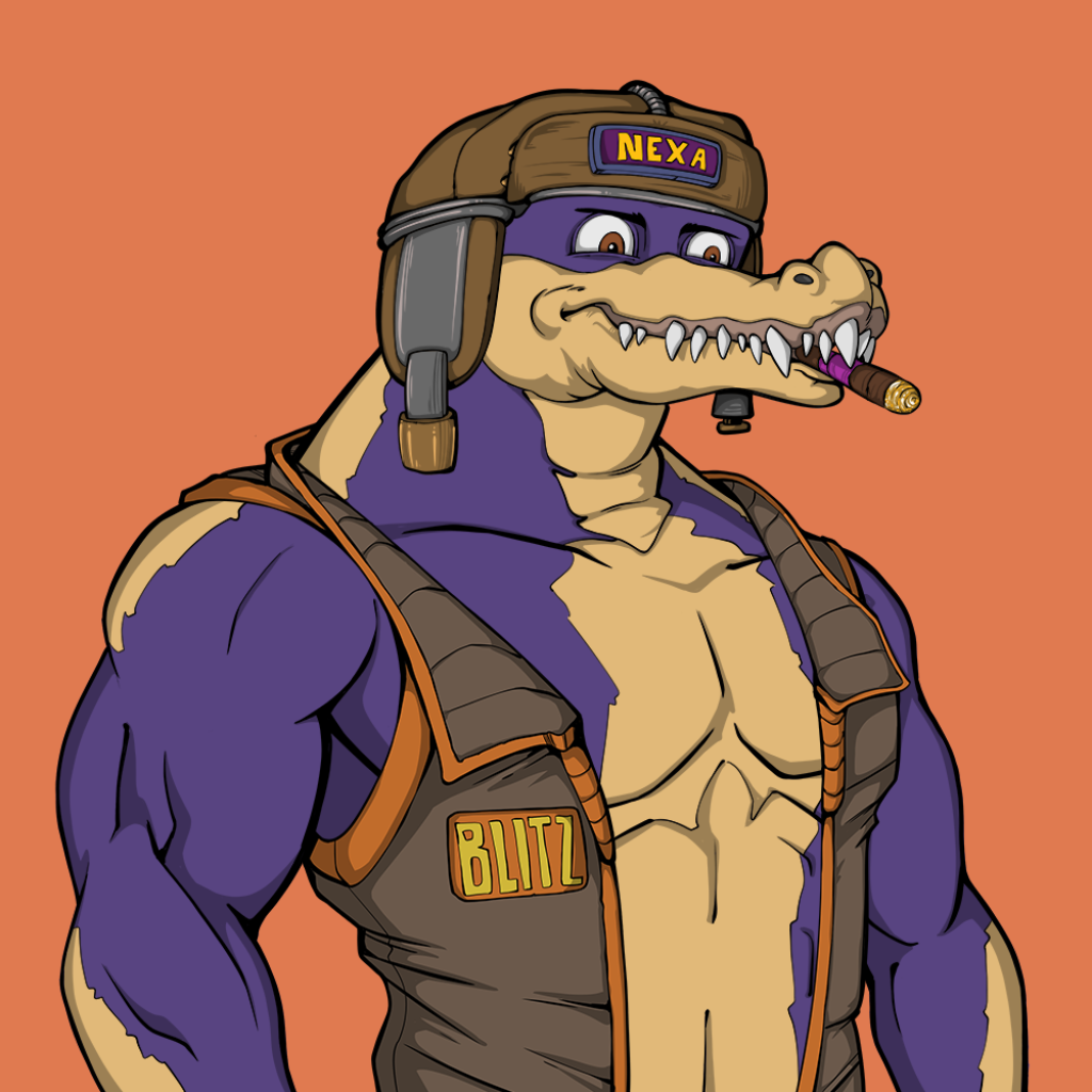 Front for Miami Gator 239