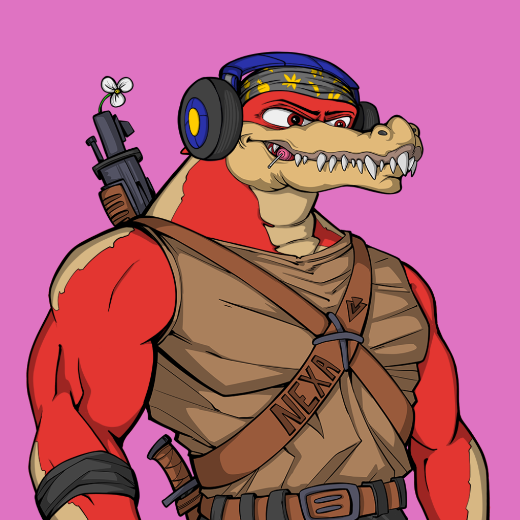 Front for Miami Gator 358