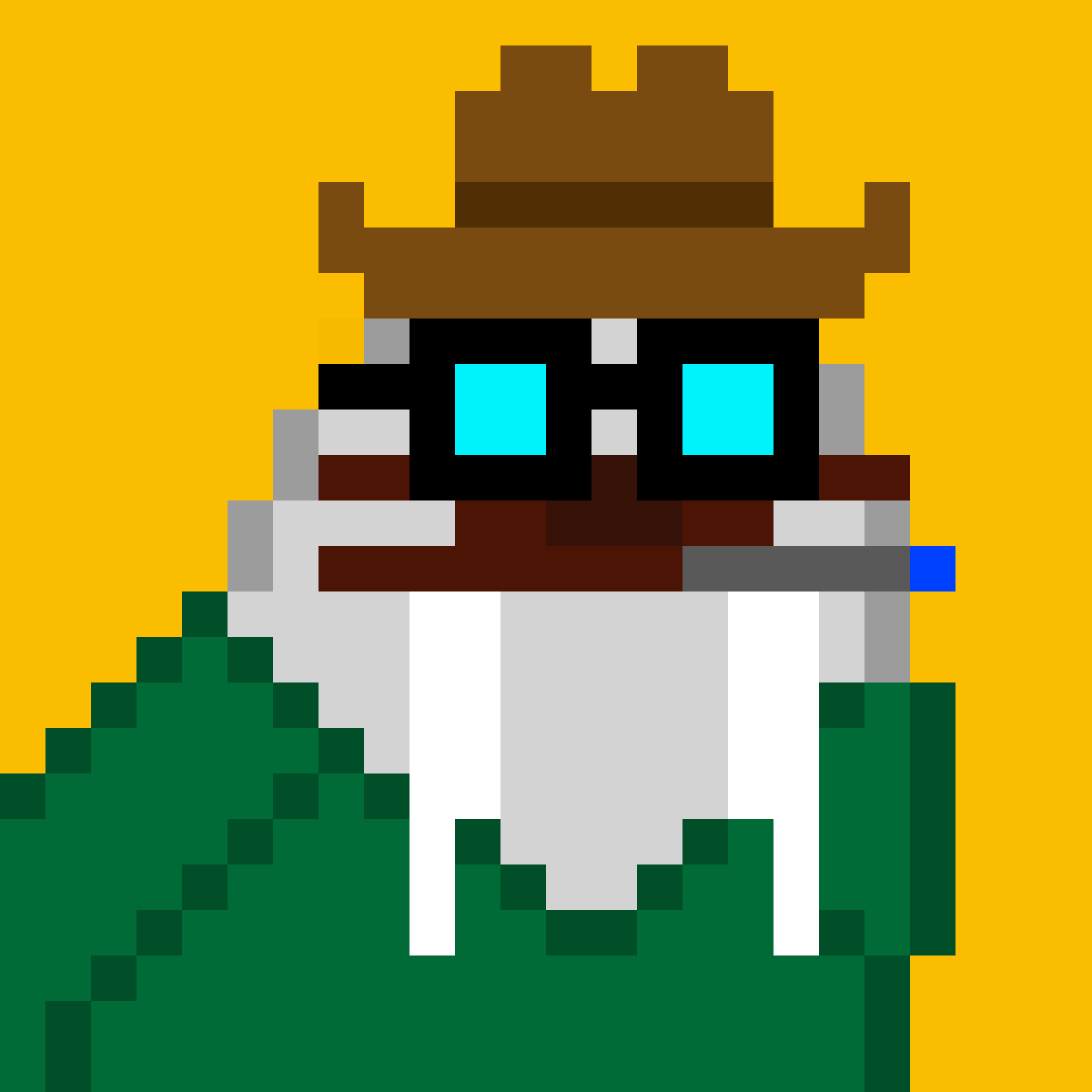 Front for Frosty Walrus #075