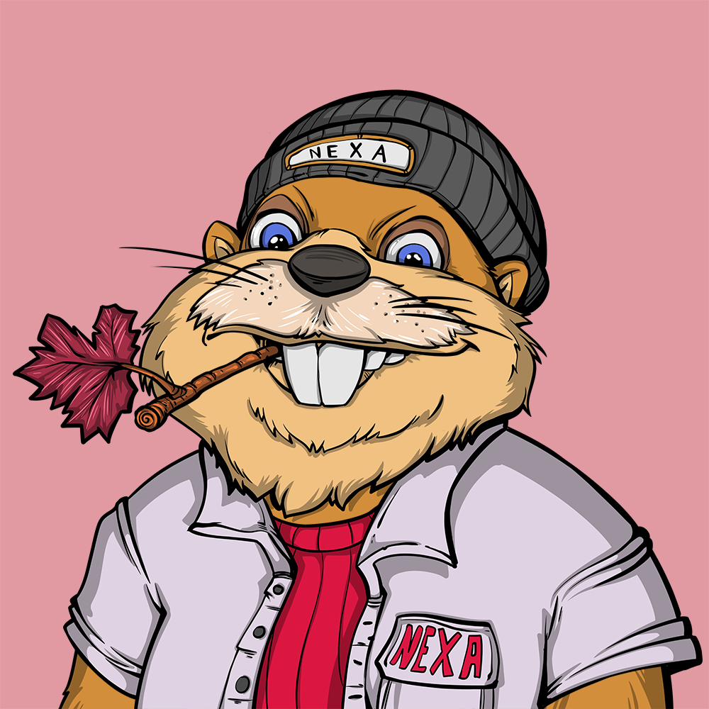 Front for Beef Beaver 197