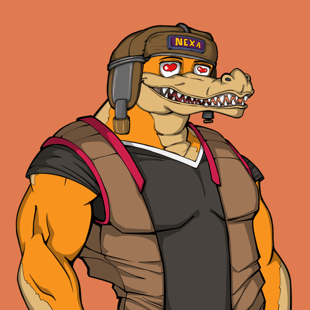 Front for Miami Gator 259