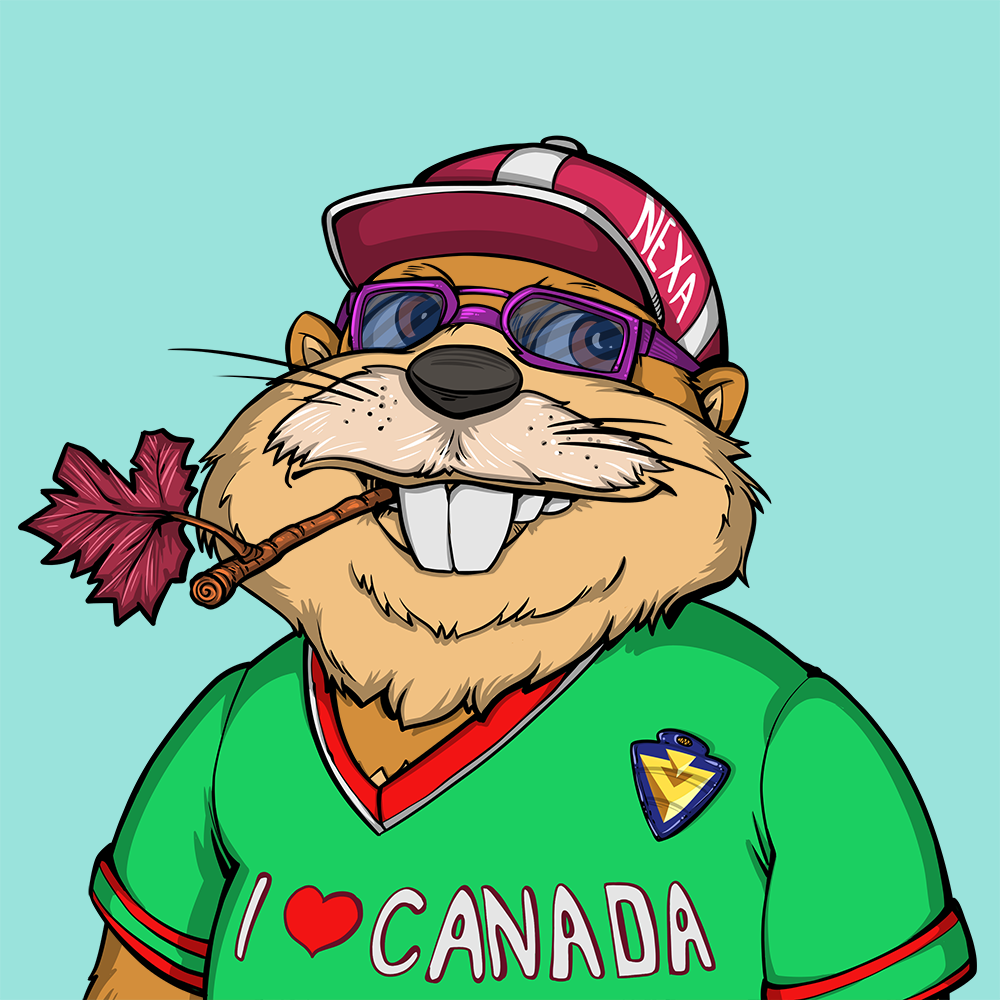 Front for Beef Beaver 030