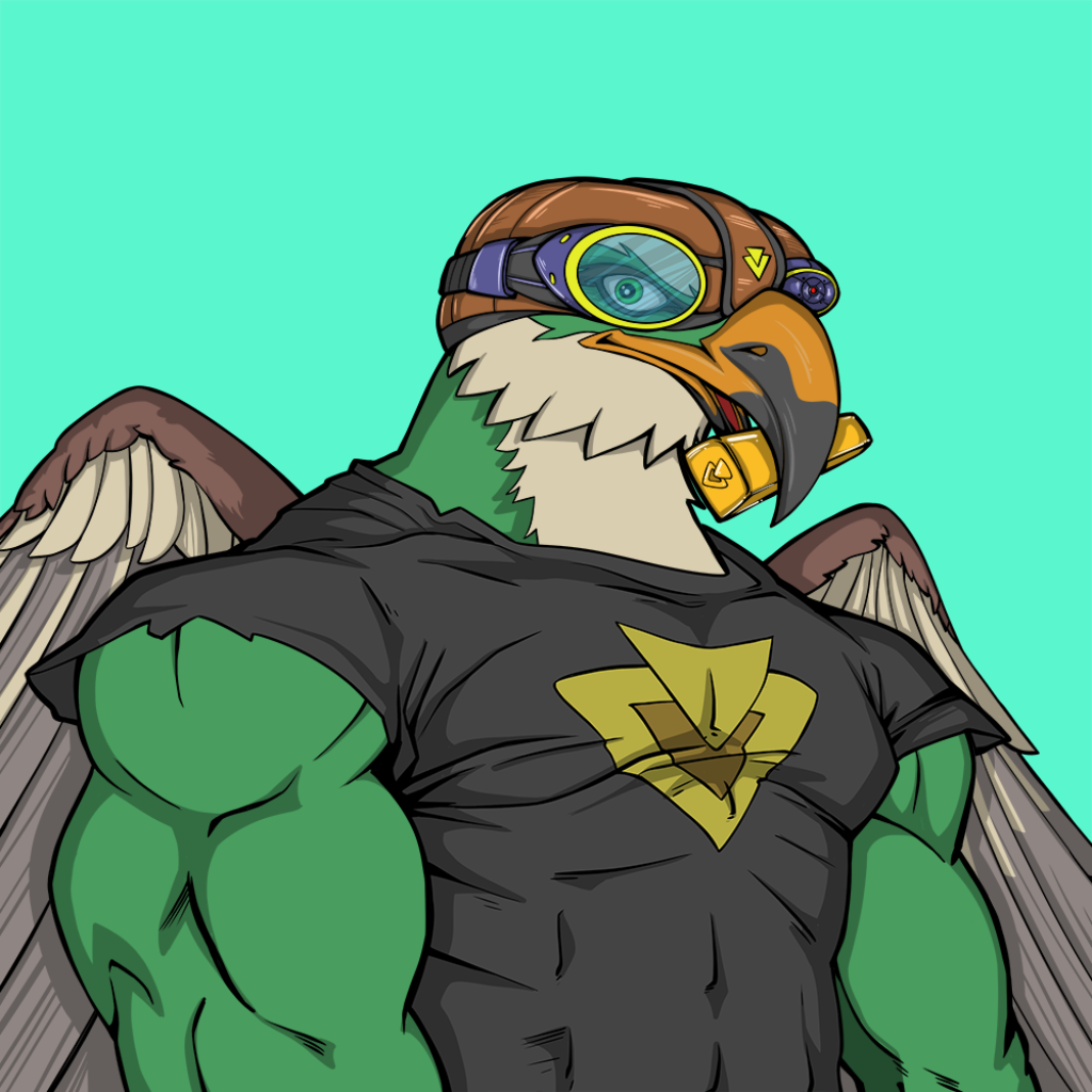Front for Falcon009