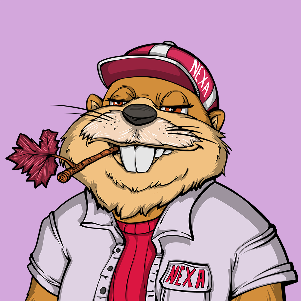 Front for Beef Beaver 146