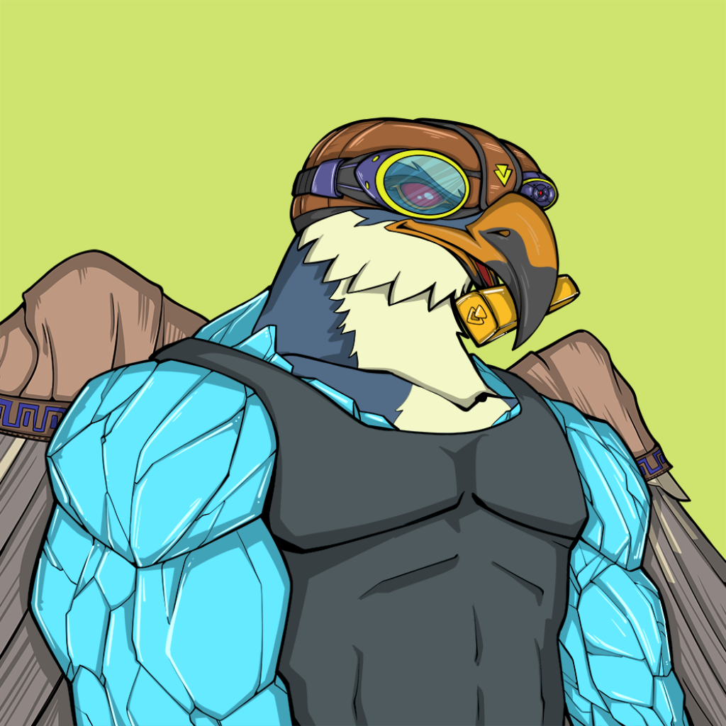 Front for Falcon494