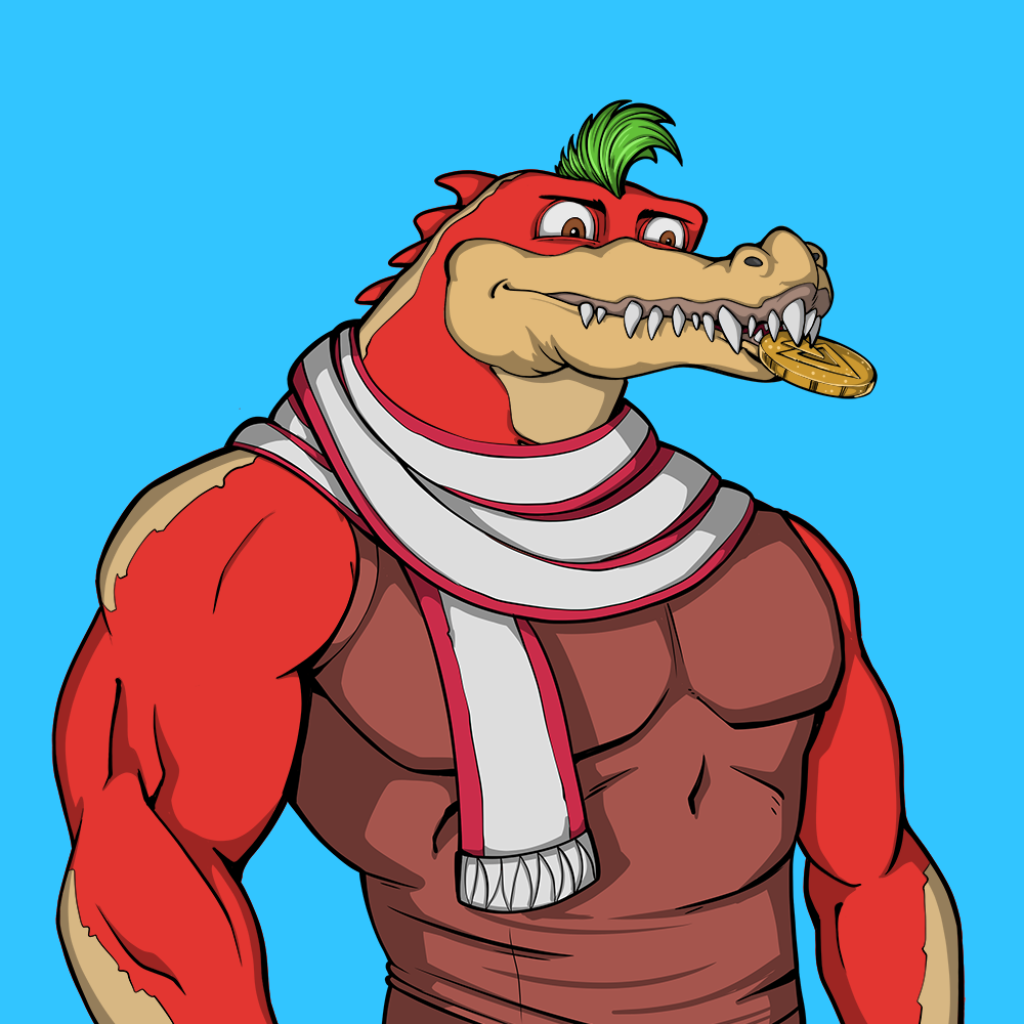 Front for Miami Gator 447