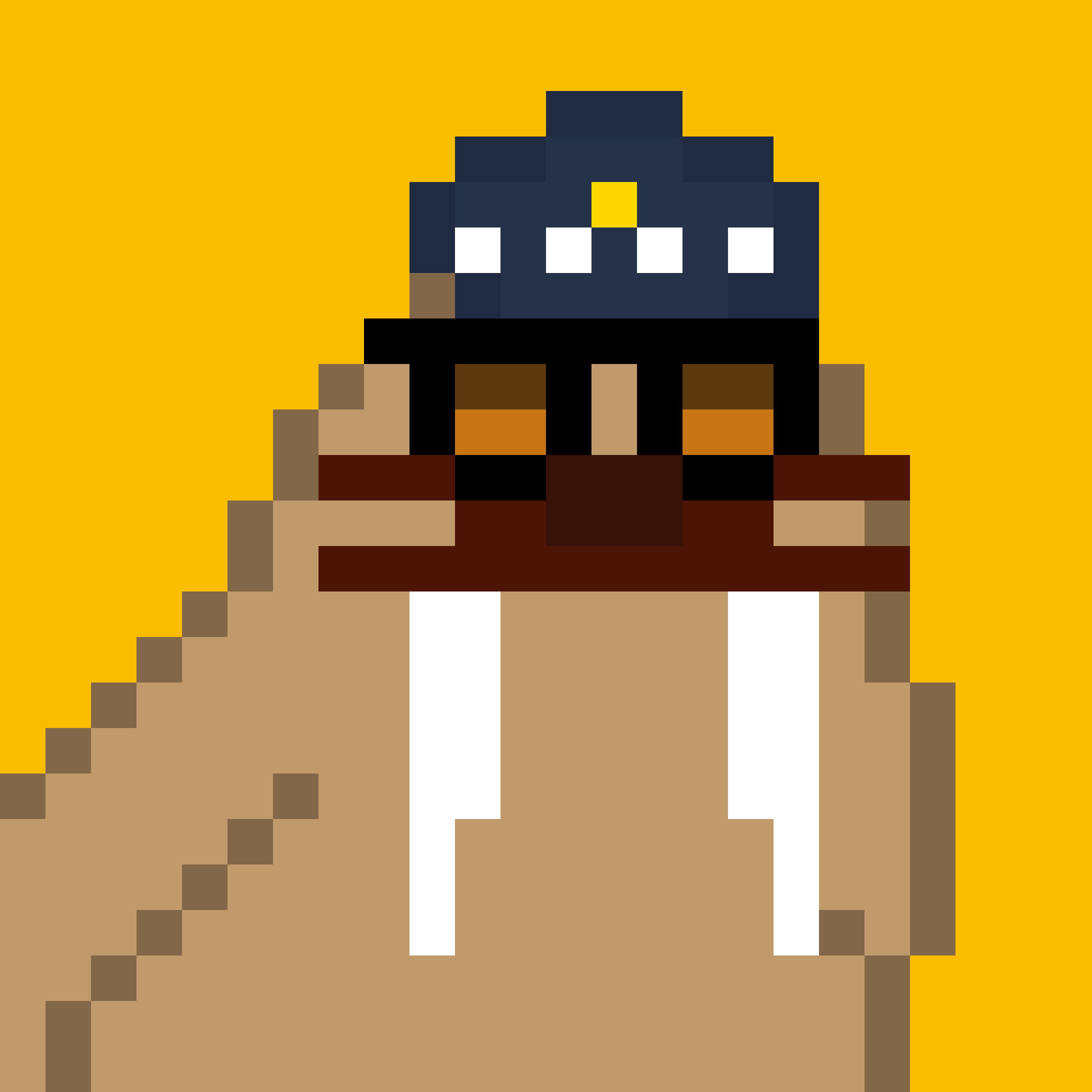 Front for Frosty Walrus #595