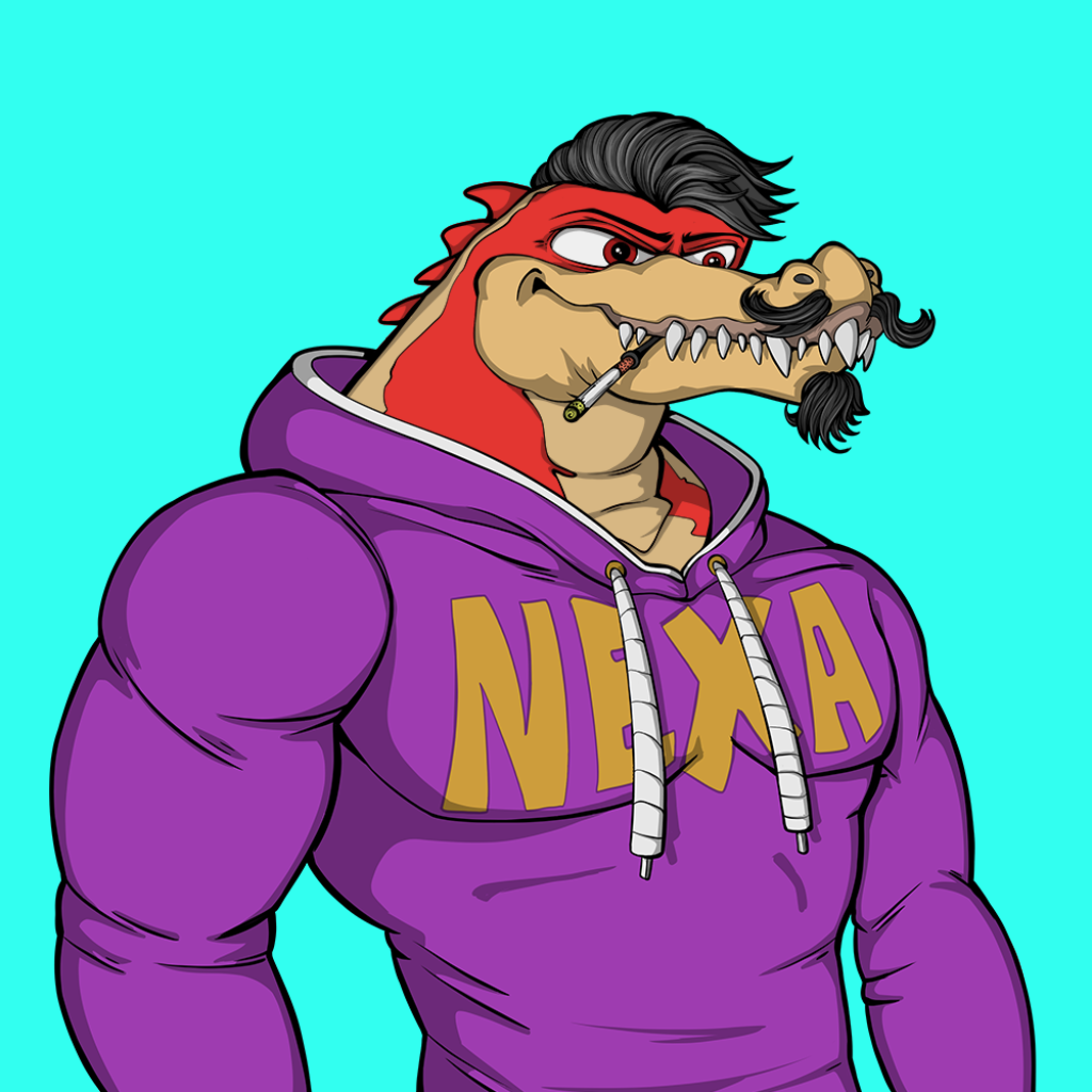Front for Miami Gator 412