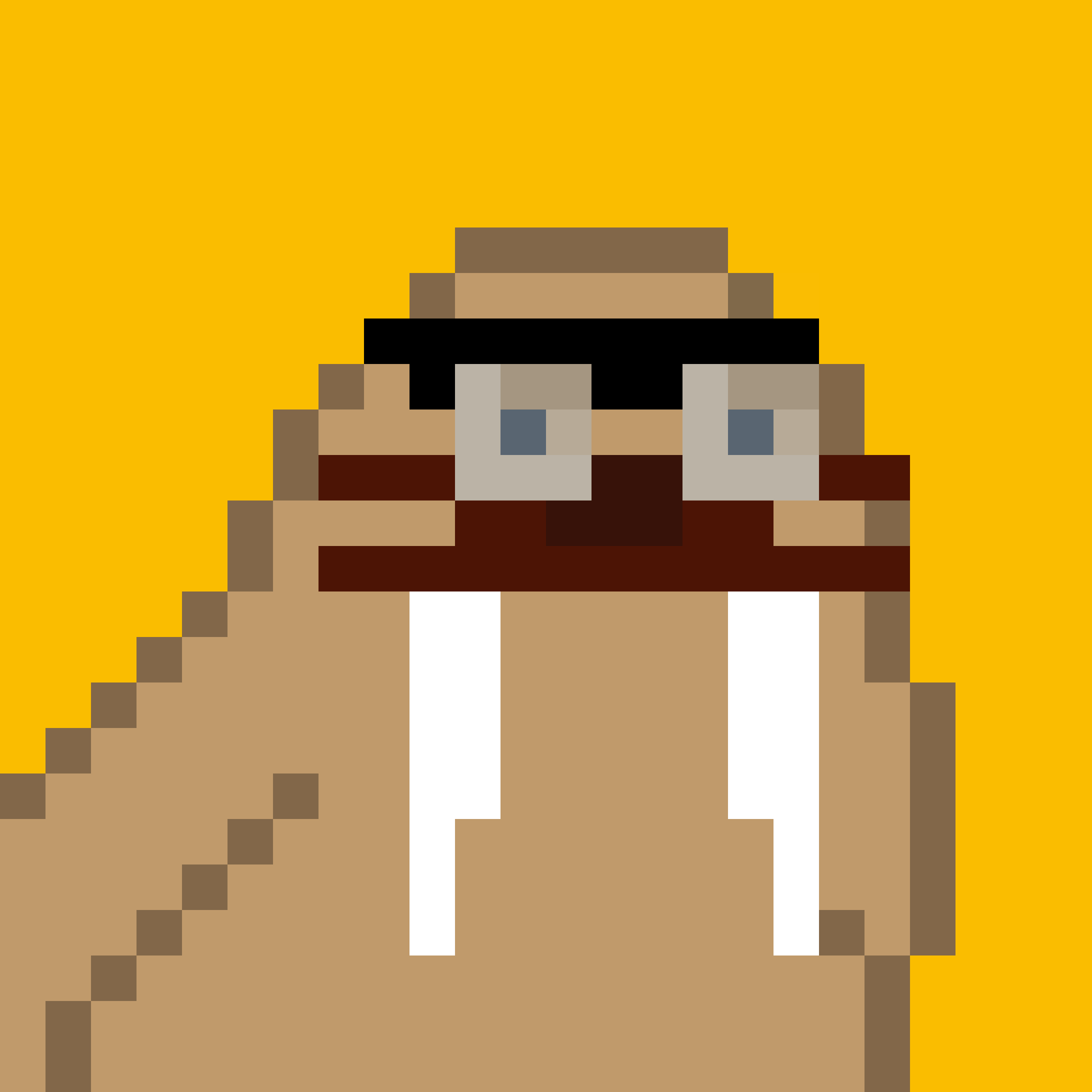 Front for Frosty Walrus #494