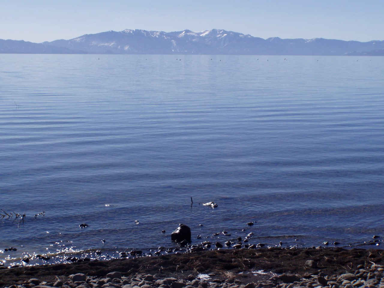 Cover image for Landscapes