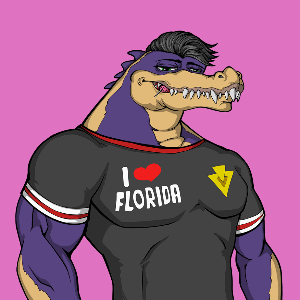 Front for Miami Gator 347