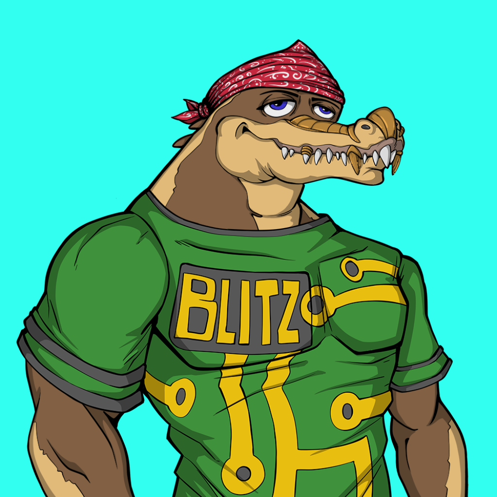 Front for Miami Gator 372