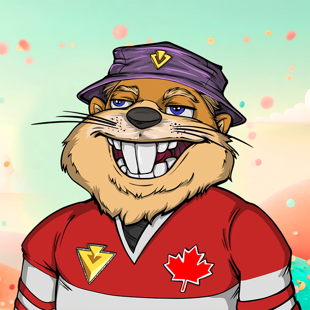 Front for Beef Beaver 087